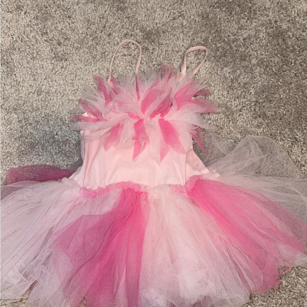 Tutu Du Monde Pink and Light Pink Layered Tulle Fairy Costume